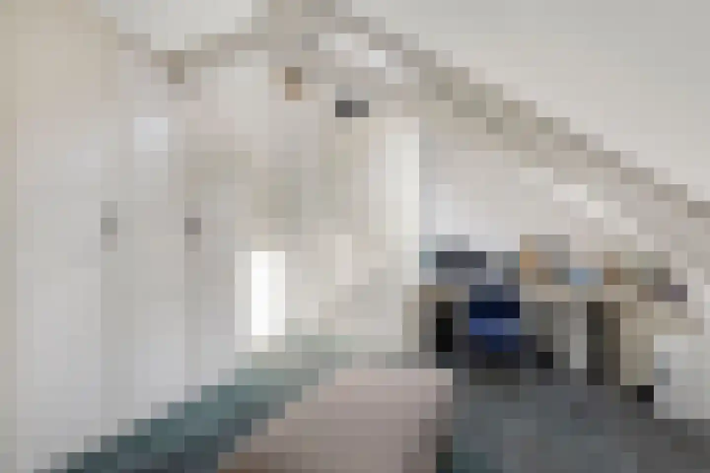 Dr. A.R. Holplein 8 Ingen thumbnail 39