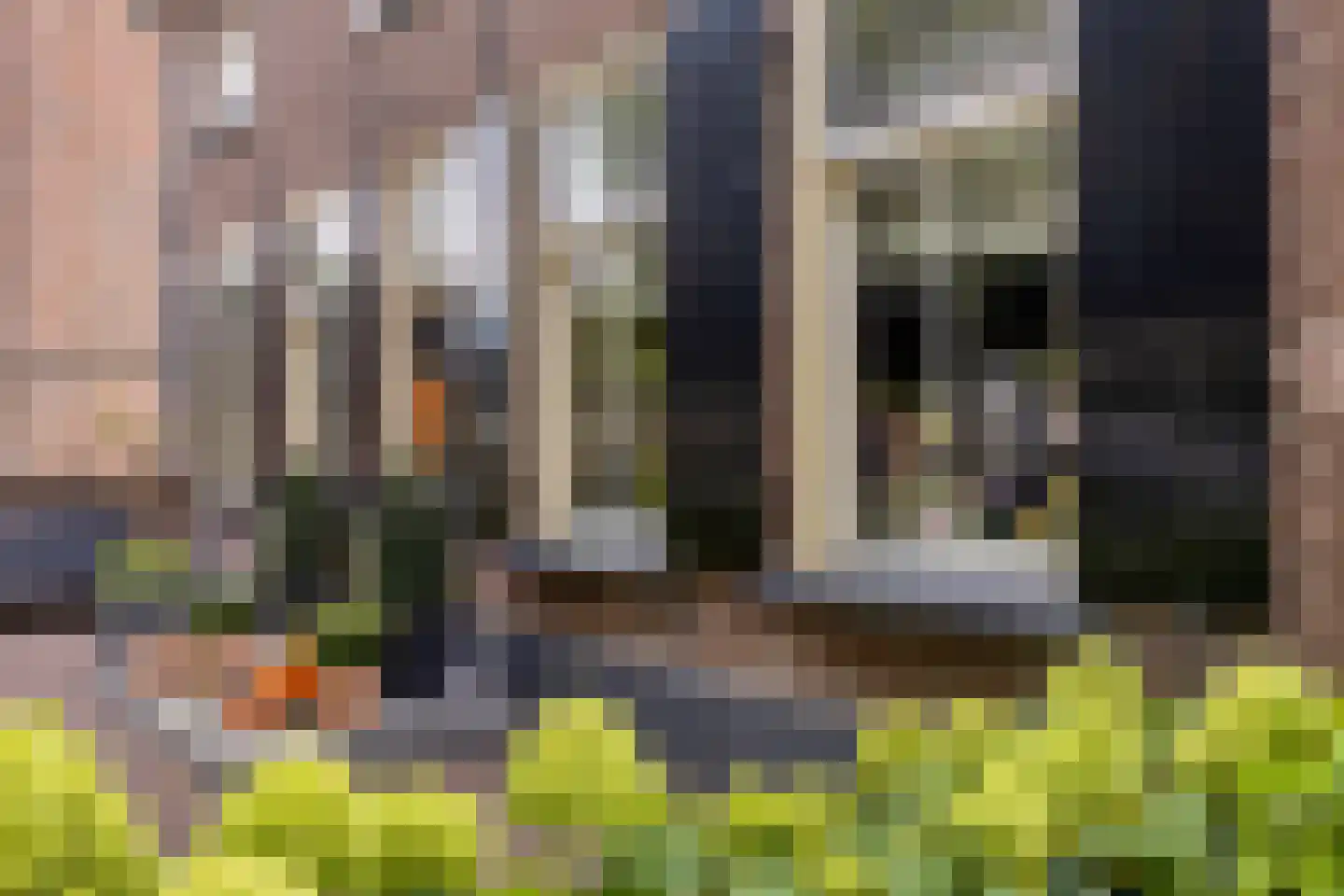 Dr. A.R. Holplein 8 Ingen thumbnail 4