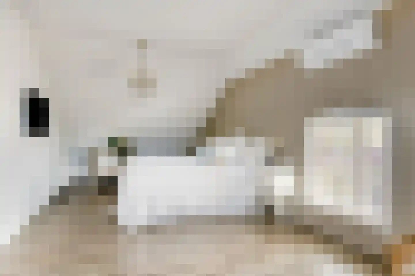 Dr. A.R. Holplein 8 Ingen thumbnail 43