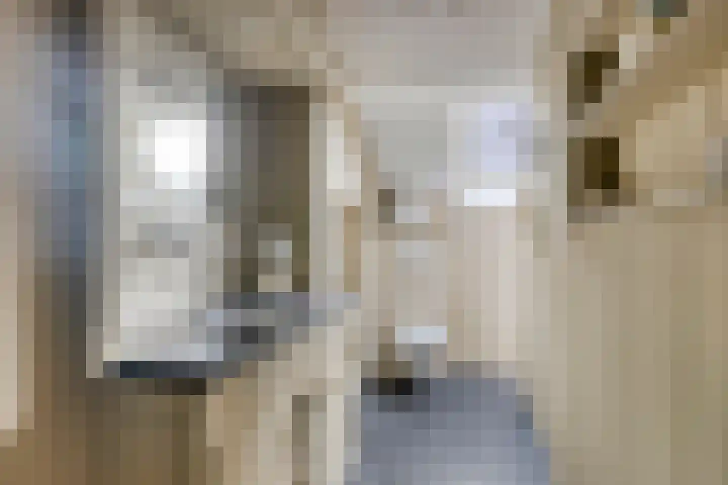 Dr. A.R. Holplein 8 Ingen thumbnail 46