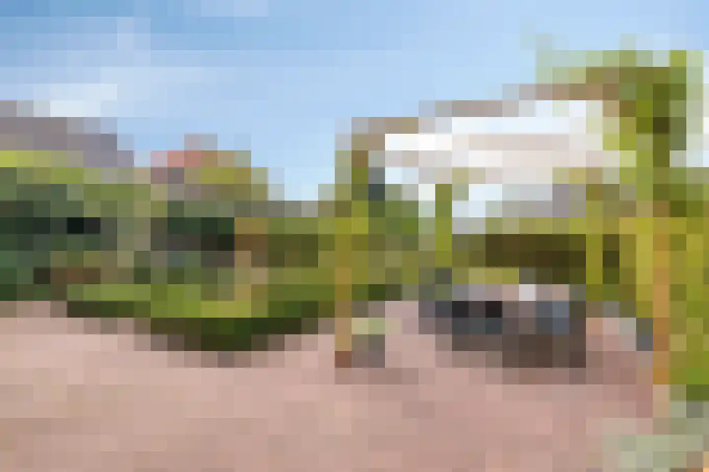 Dr. A.R. Holplein 8 Ingen thumbnail 49
