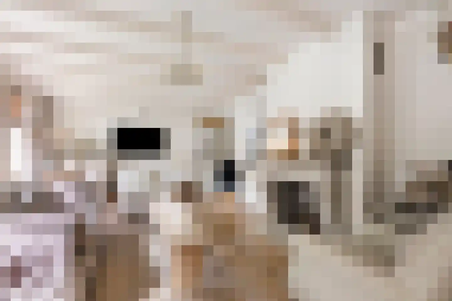 Dr. A.R. Holplein 8 Ingen thumbnail 5