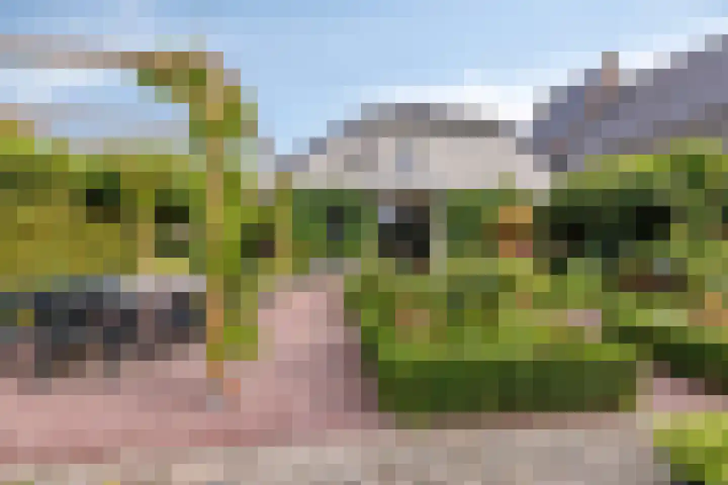 Dr. A.R. Holplein 8 Ingen thumbnail 51