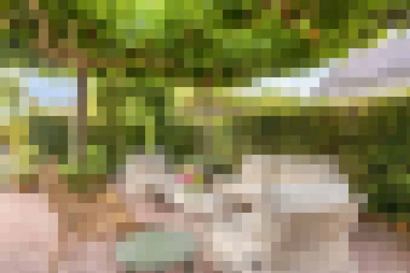 Dr. A.R. Holplein 8 Ingen thumbnail 52