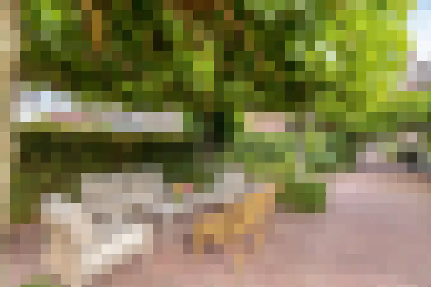 Dr. A.R. Holplein 8 Ingen thumbnail 53