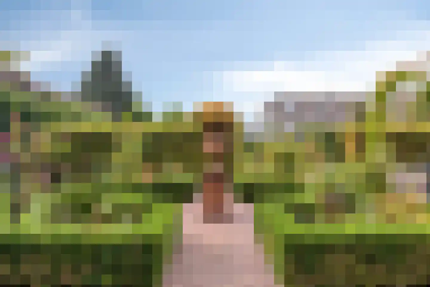 Dr. A.R. Holplein 8 Ingen thumbnail 54
