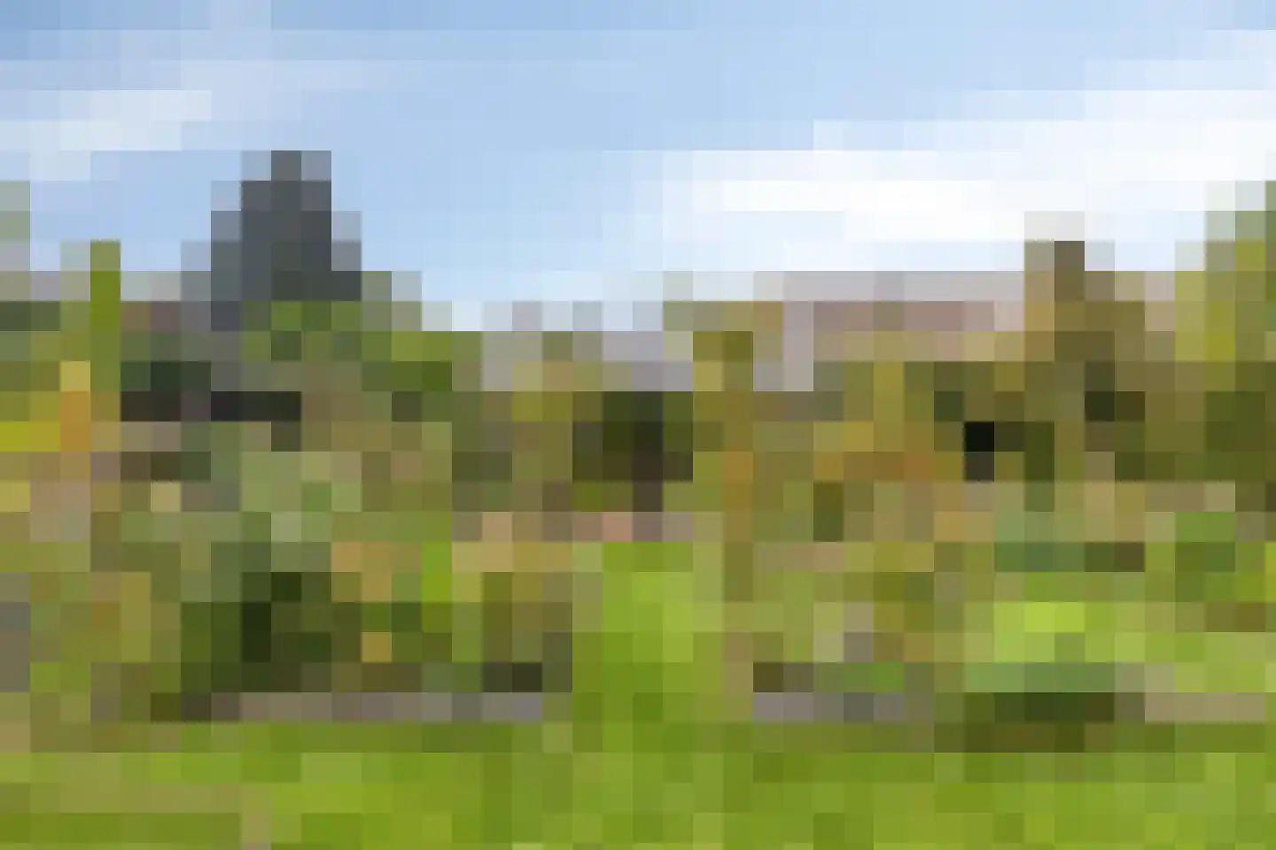 Dr. A.R. Holplein 8 Ingen thumbnail 55