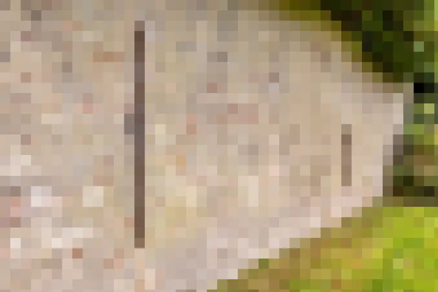 Dr. A.R. Holplein 8 Ingen thumbnail 56