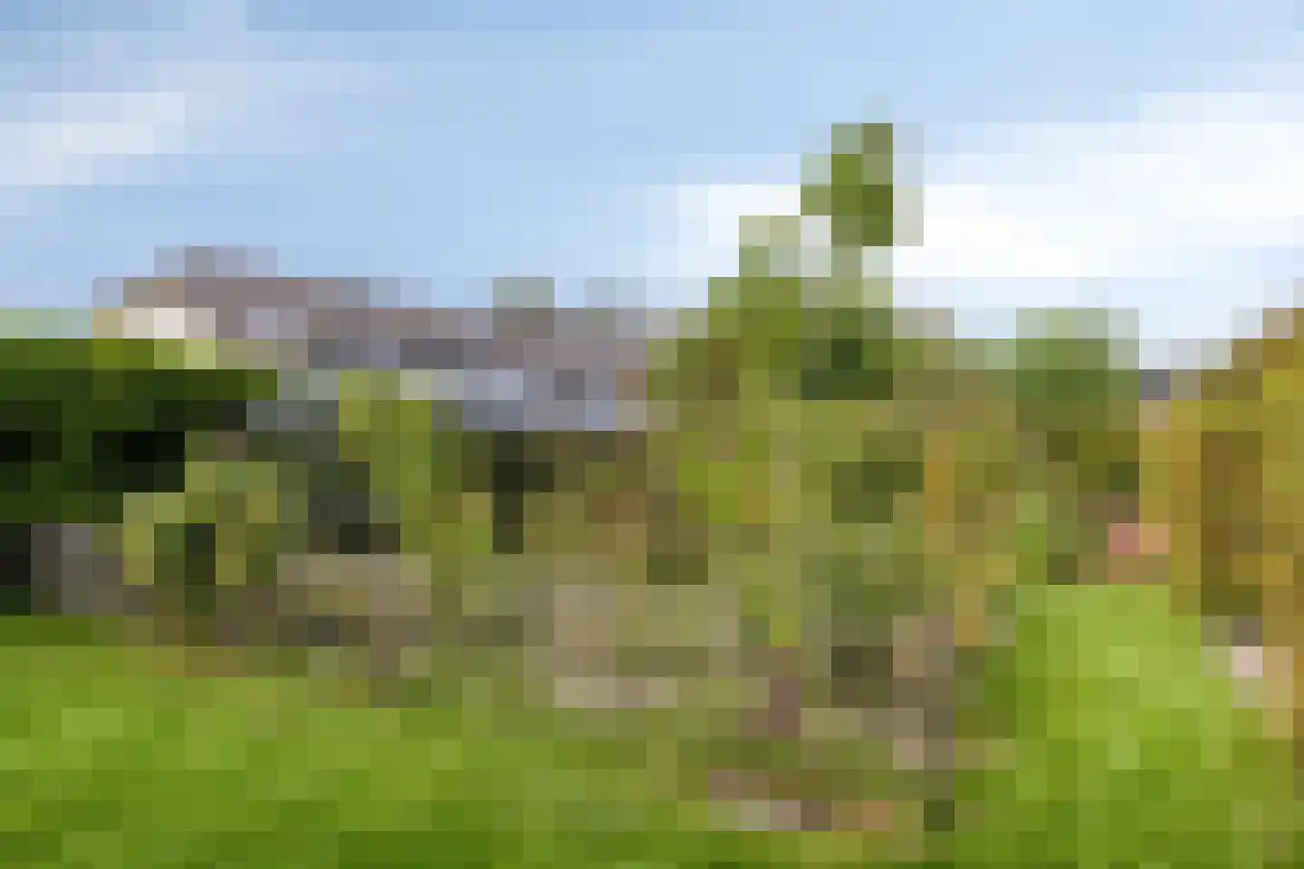 Dr. A.R. Holplein 8 Ingen thumbnail 57