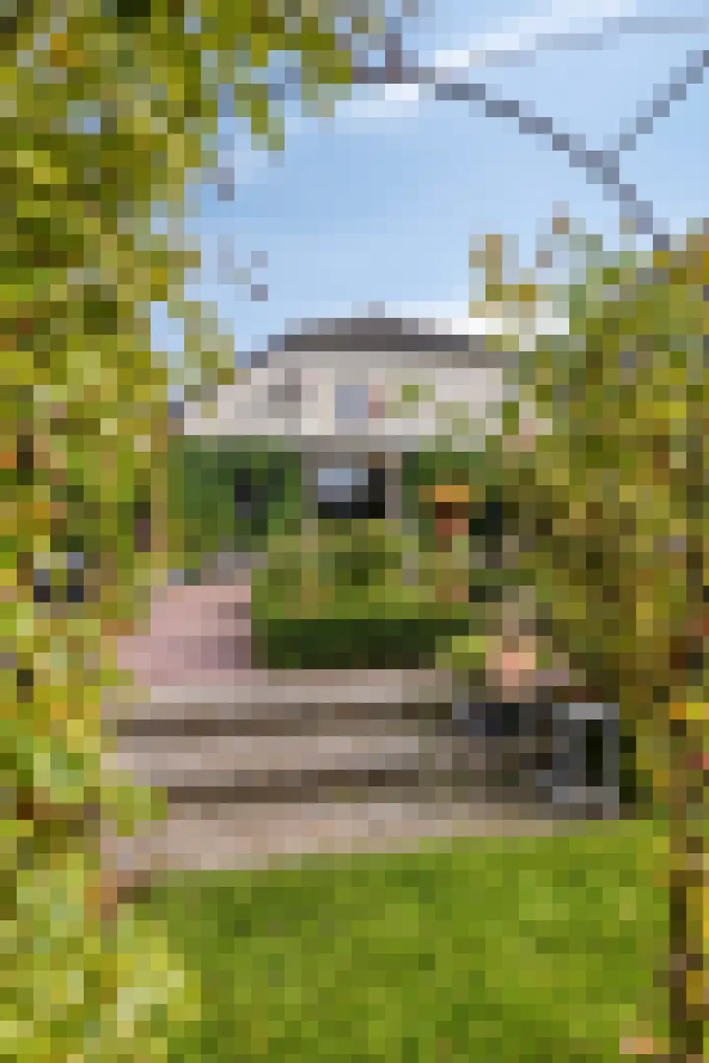 Dr. A.R. Holplein 8 Ingen thumbnail 58