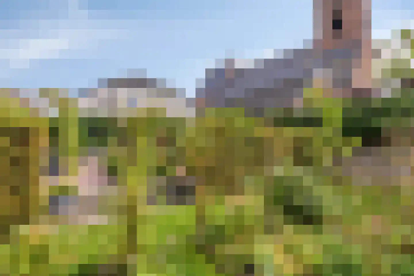 Dr. A.R. Holplein 8 Ingen thumbnail 59