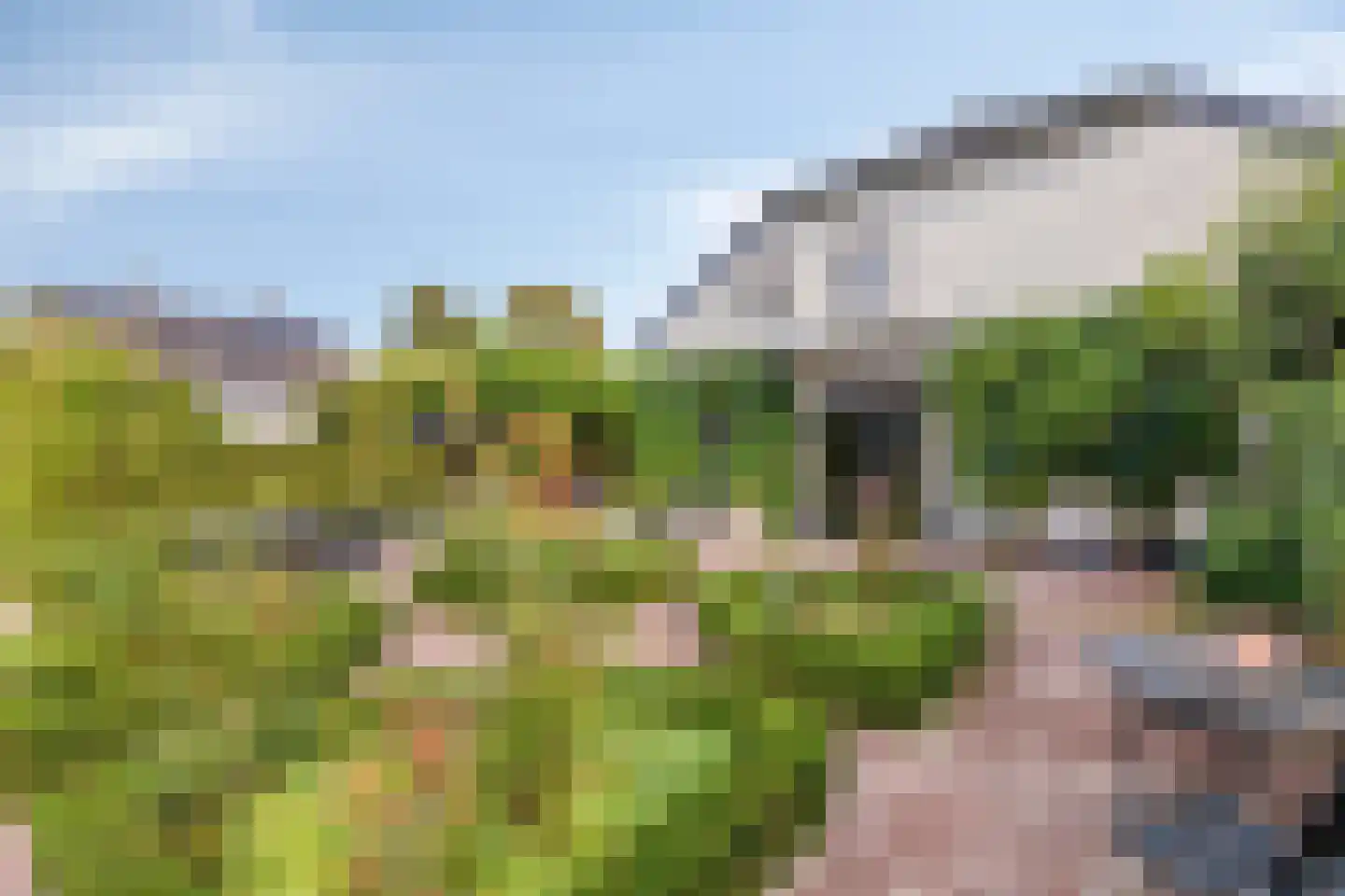 Dr. A.R. Holplein 8 Ingen thumbnail 60