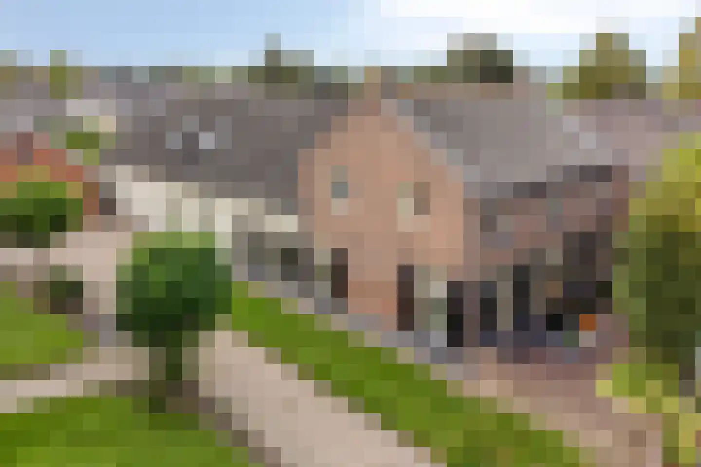 Dr. A.R. Holplein 8 Ingen thumbnail 63