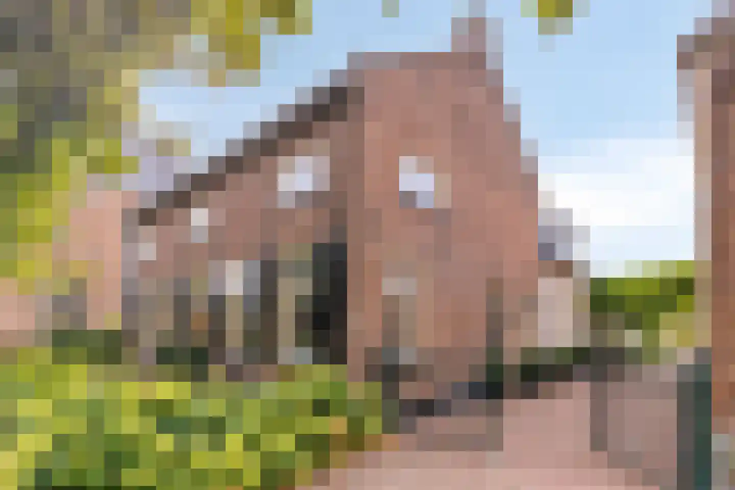 Dr. A.R. Holplein 8 Ingen thumbnail 66