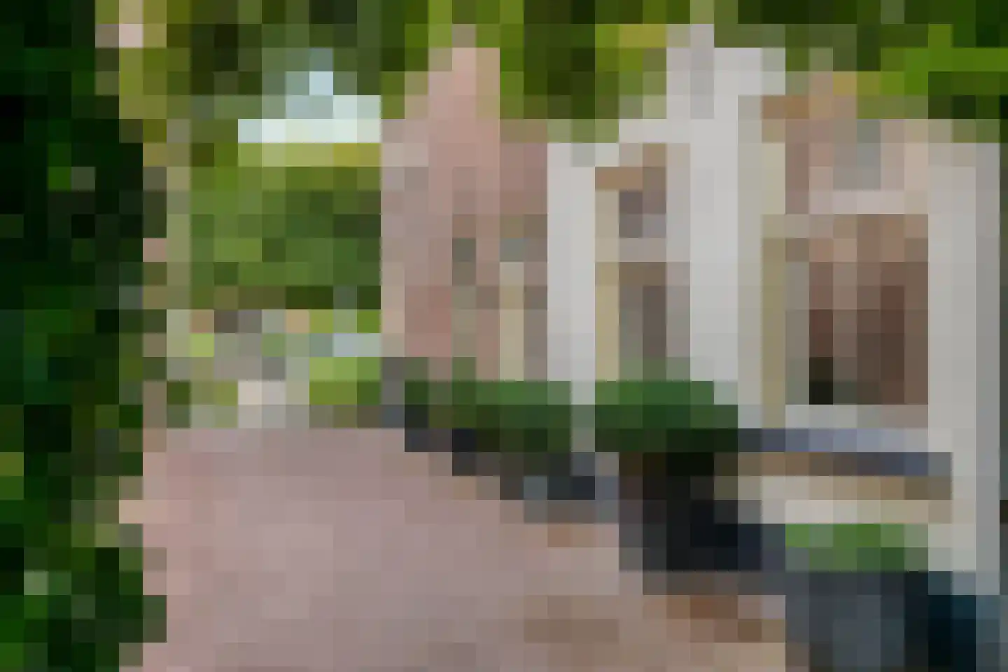 Dr. A.R. Holplein 8 Ingen thumbnail 67