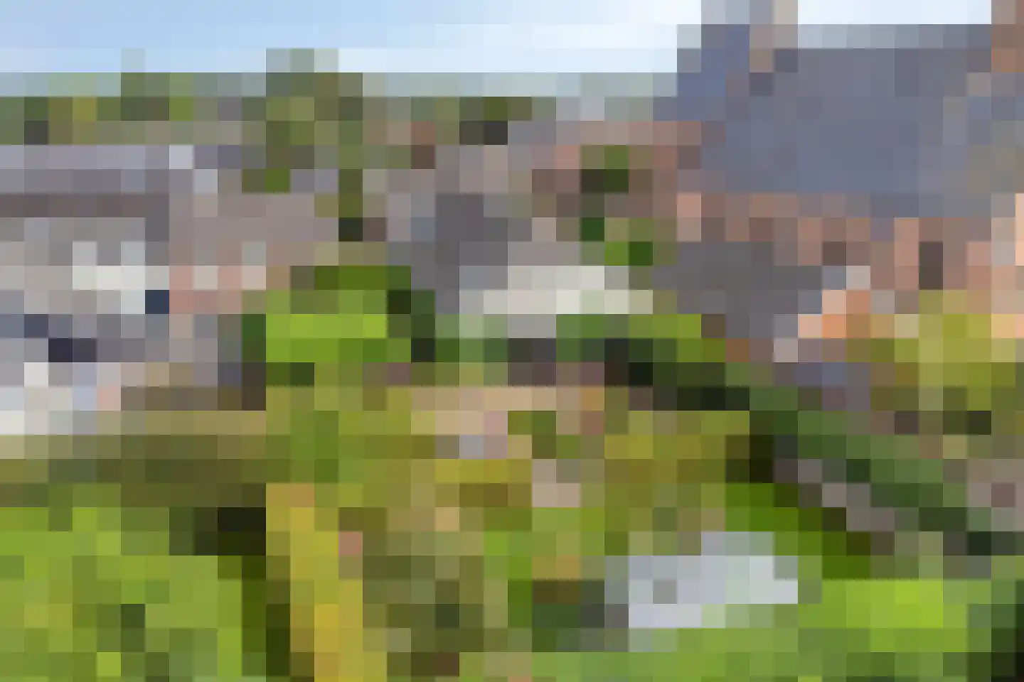 Dr. A.R. Holplein 8 Ingen thumbnail 68
