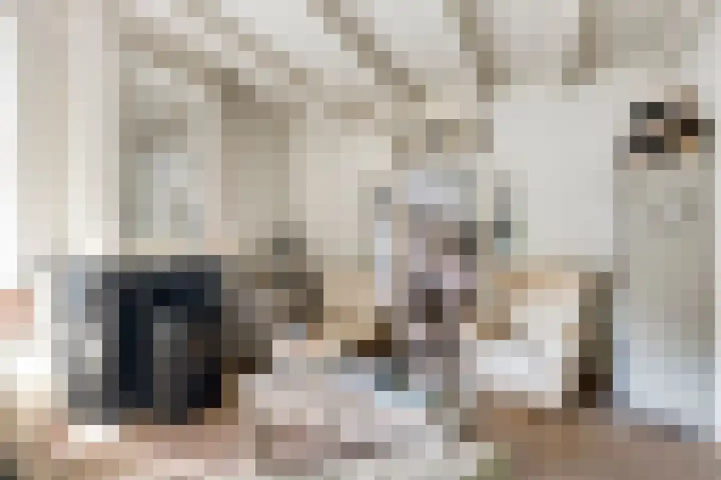 Dr. A.R. Holplein 8 Ingen thumbnail 7