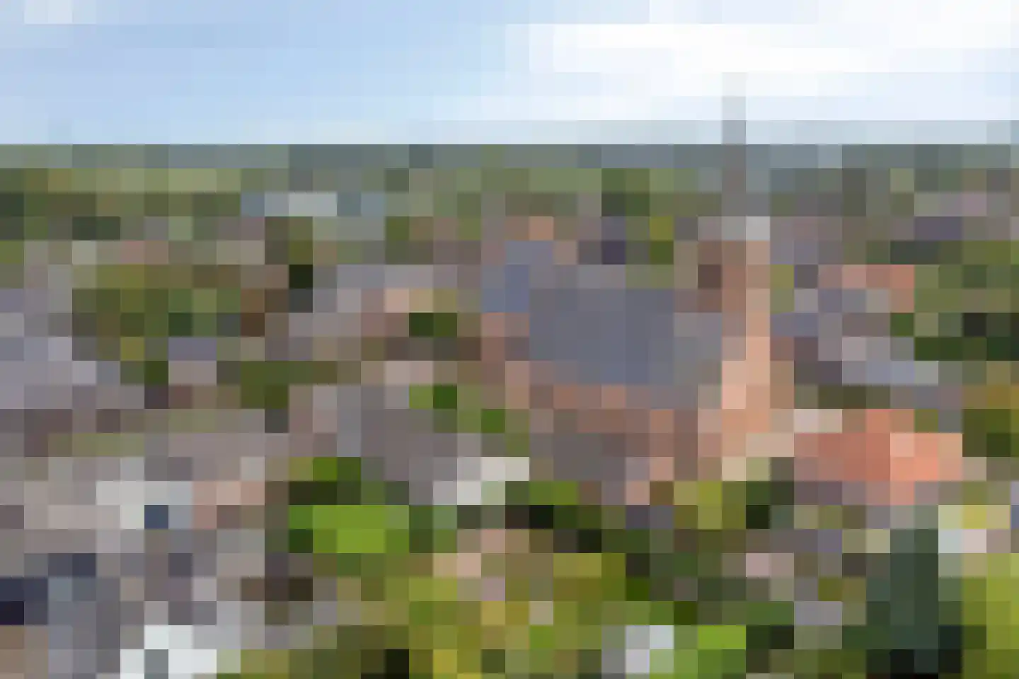 Dr. A.R. Holplein 8 Ingen thumbnail 70