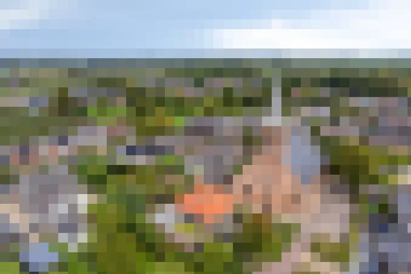 Dr. A.R. Holplein 8 Ingen thumbnail 72