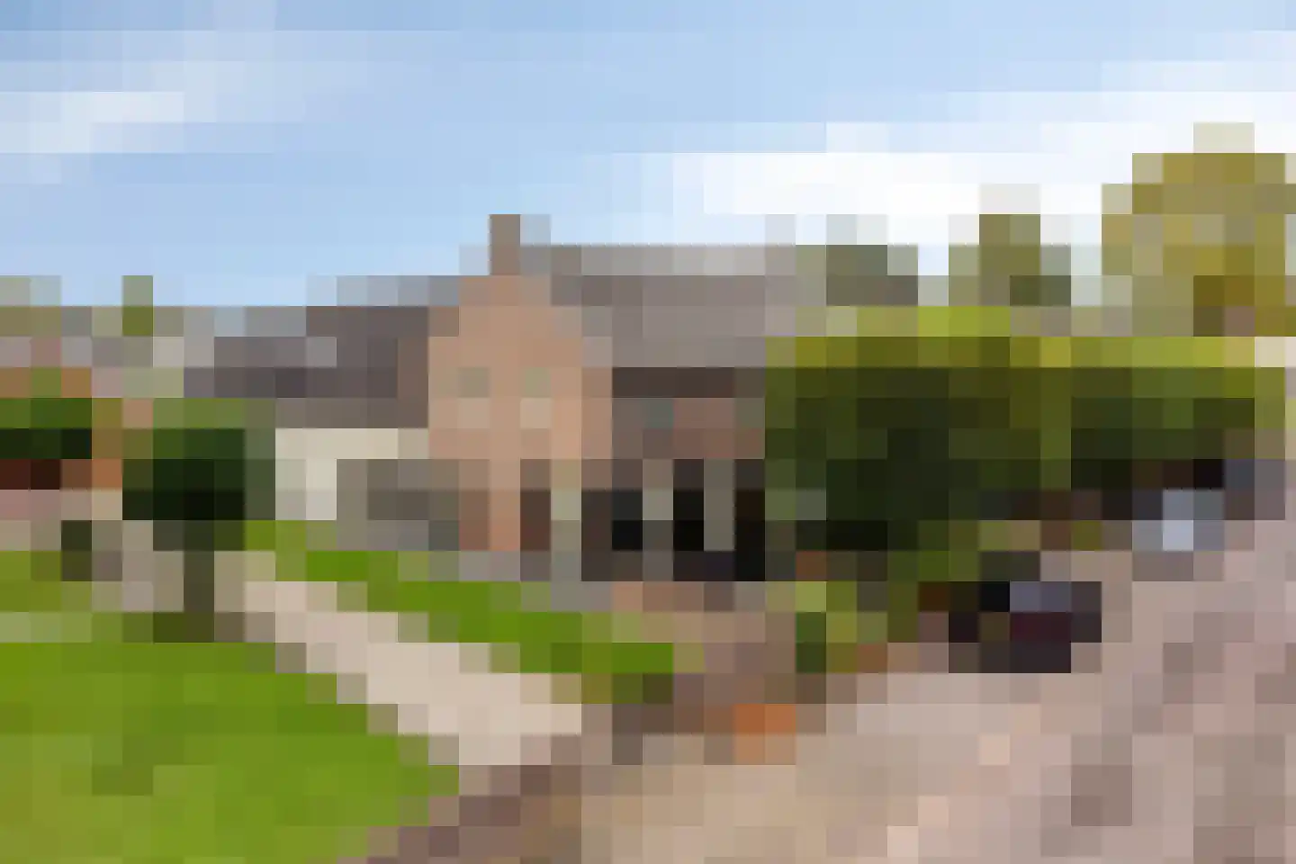 Dr. A.R. Holplein 8 Ingen thumbnail 73