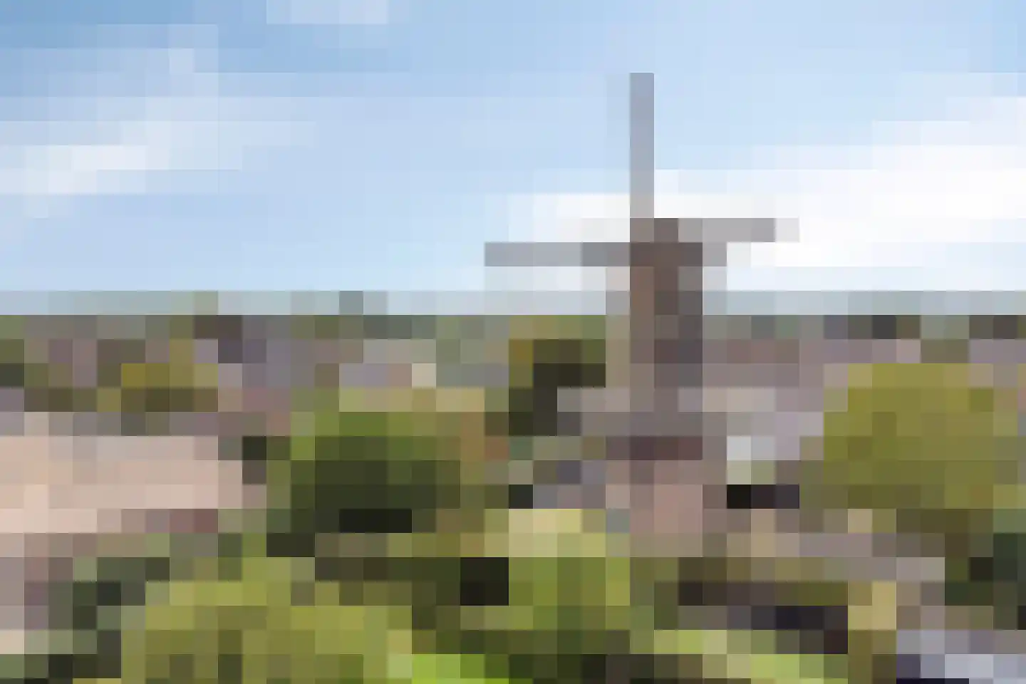 Dr. A.R. Holplein 8 Ingen thumbnail 75