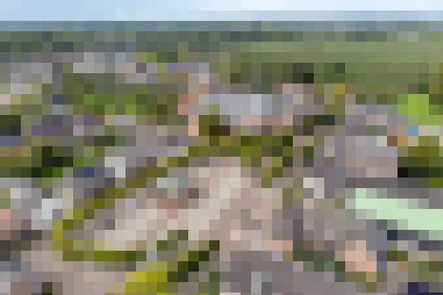 Dr. A.R. Holplein 8 Ingen thumbnail 77