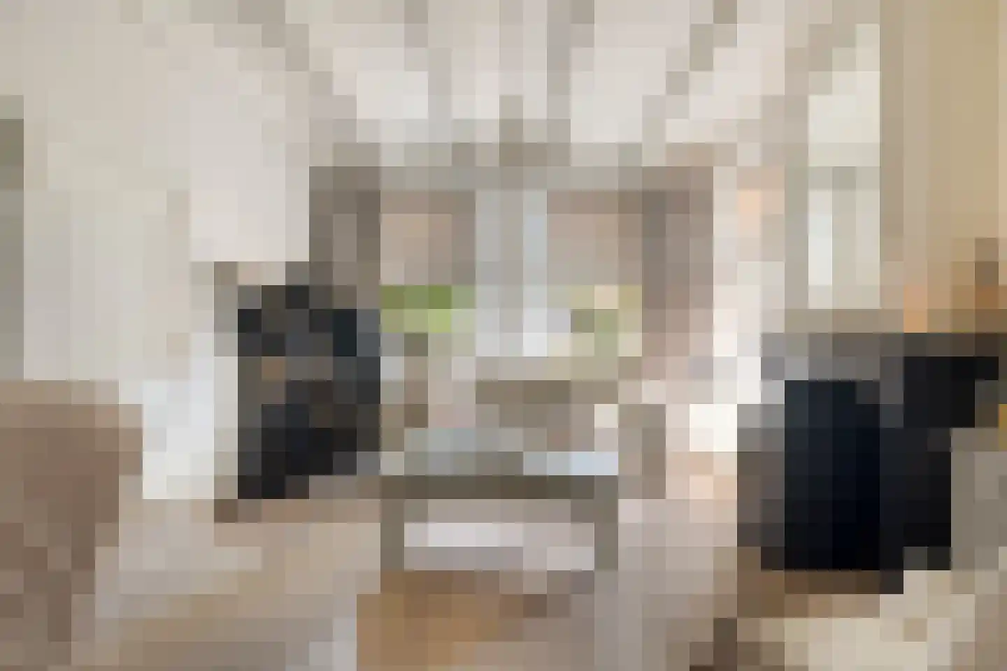 Dr. A.R. Holplein 8 Ingen thumbnail 8