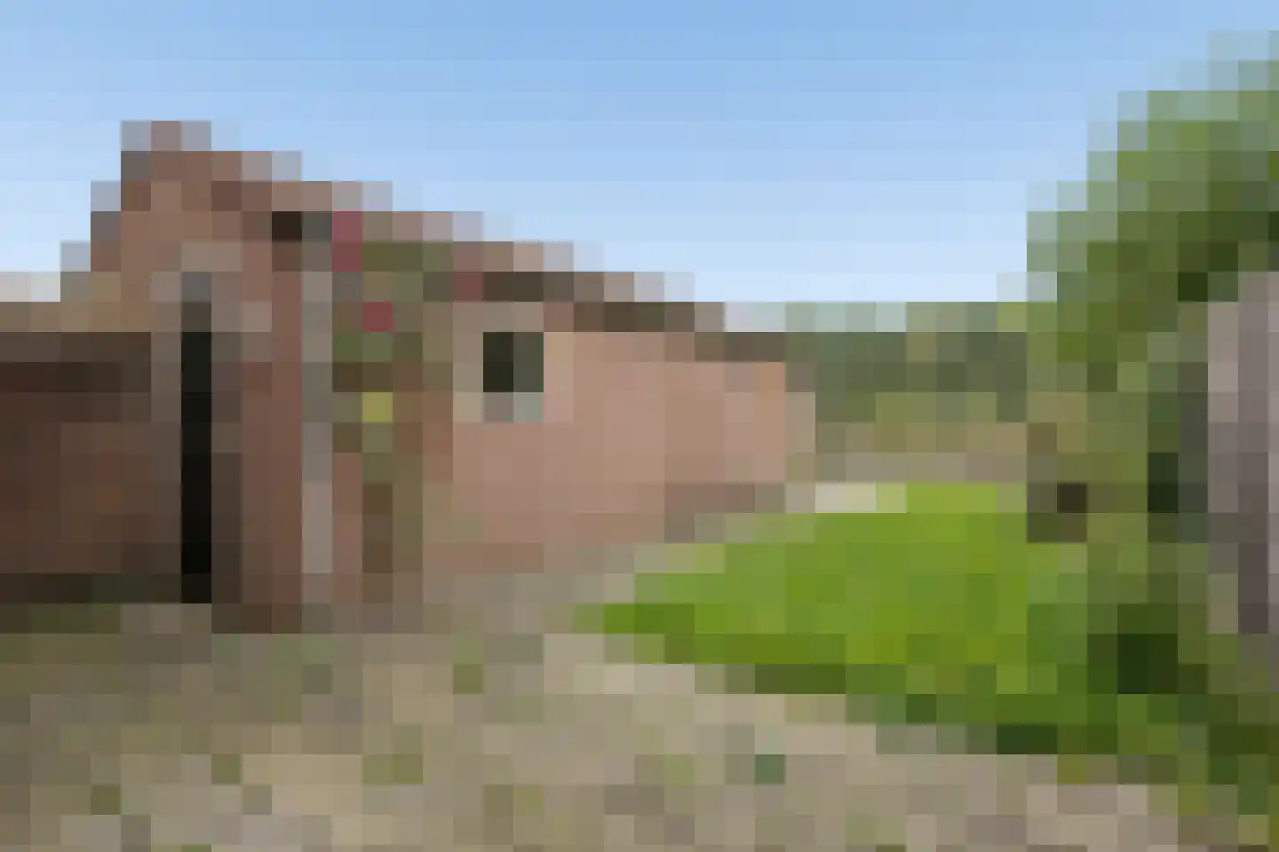 Dr. A.R. Holstraat 24 Zetten thumbnail 24
