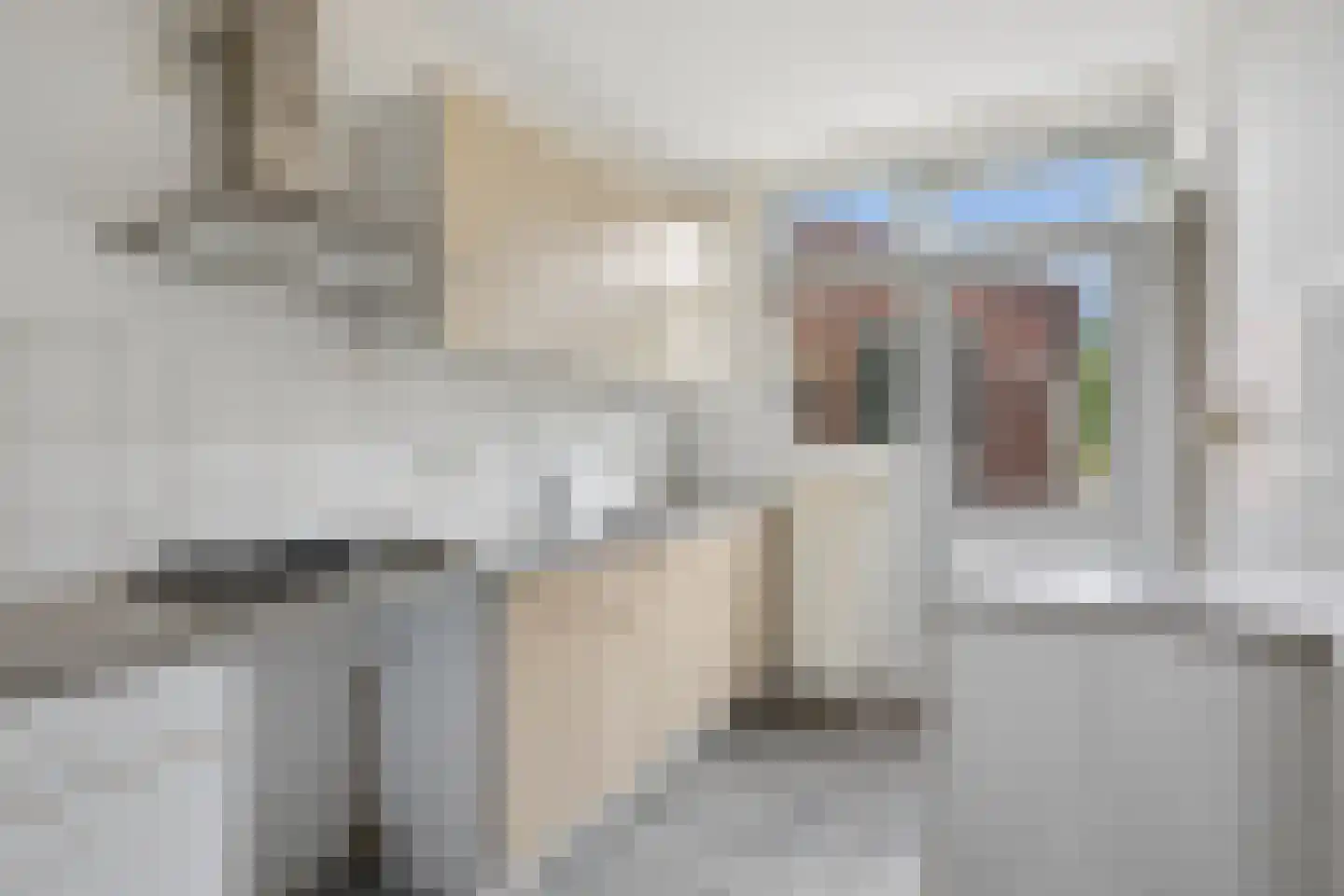 Dr. A.R. Holstraat 24 Zetten thumbnail 5