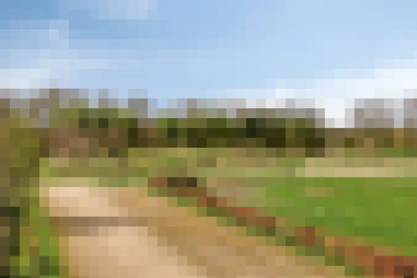 Dr. A.R. Holstraat 42 Zetten thumbnail 47