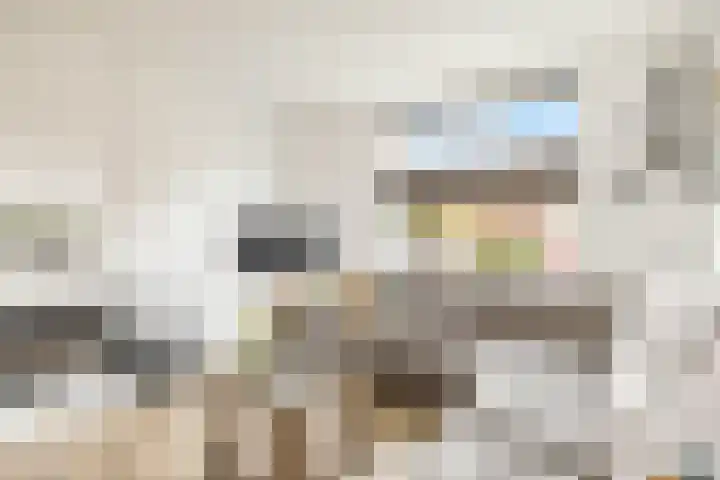 Dr.A.Th.Plantenstraat 11 Neede thumbnail 12