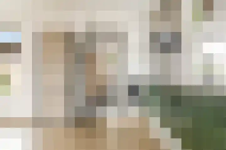 Dr.A.Th.Plantenstraat 11 Neede thumbnail 15