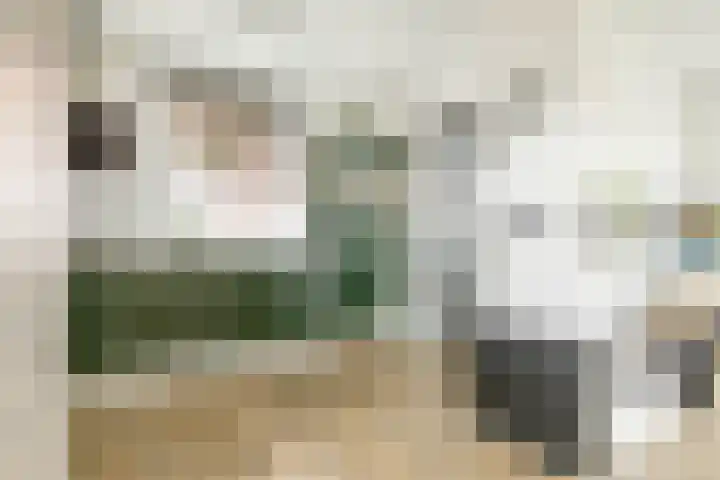 Dr.A.Th.Plantenstraat 11 Neede thumbnail 17