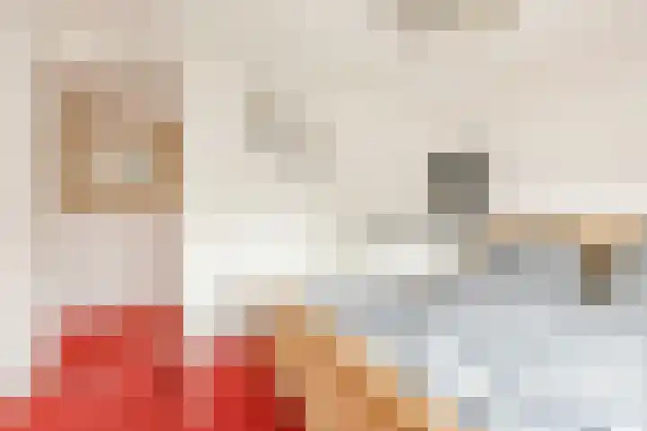 Dr.A.Th.Plantenstraat 11 Neede thumbnail 23