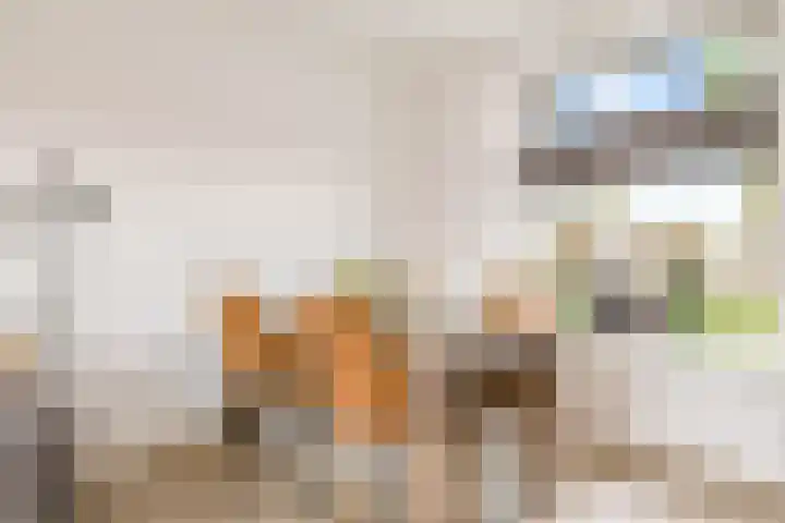 Dr.A.Th.Plantenstraat 11 Neede thumbnail 8