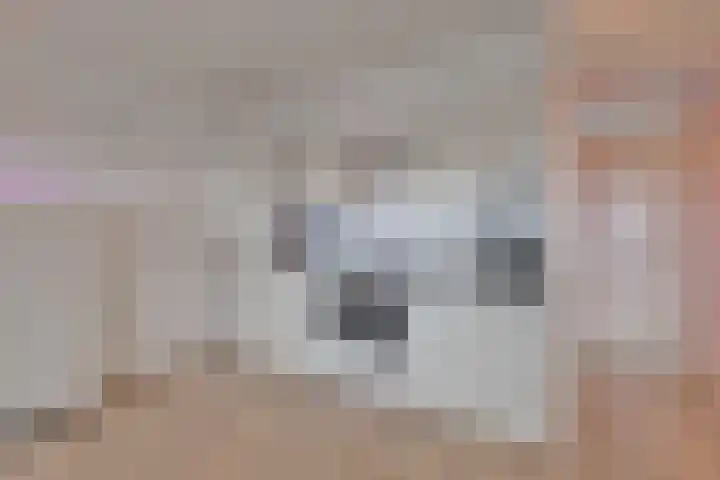 Dr. A. van der Willigen Sr. laan 13 Velp thumbnail 14