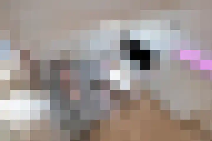 Dr. A. van der Willigen Sr. laan 13 Velp thumbnail 18