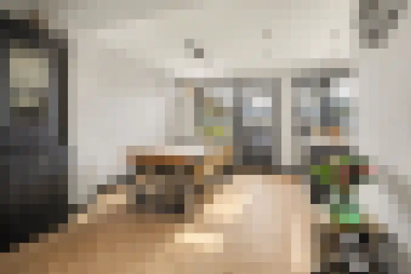 Dr. A. Zijlmansstraat 10 Bladel thumbnail 12