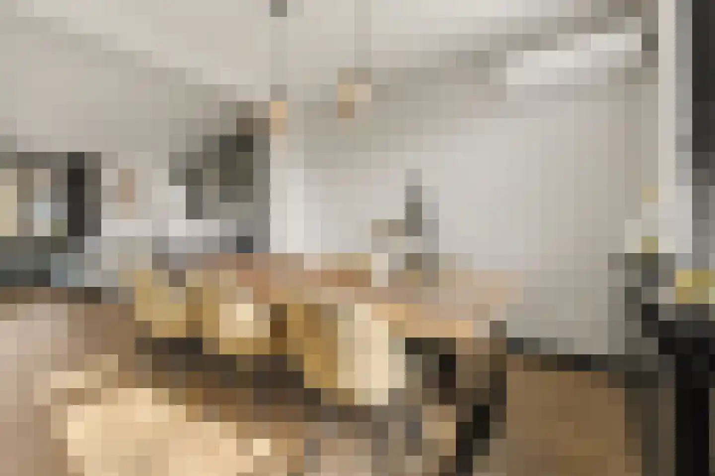Dr. A. Zijlmansstraat 10 Bladel thumbnail 14