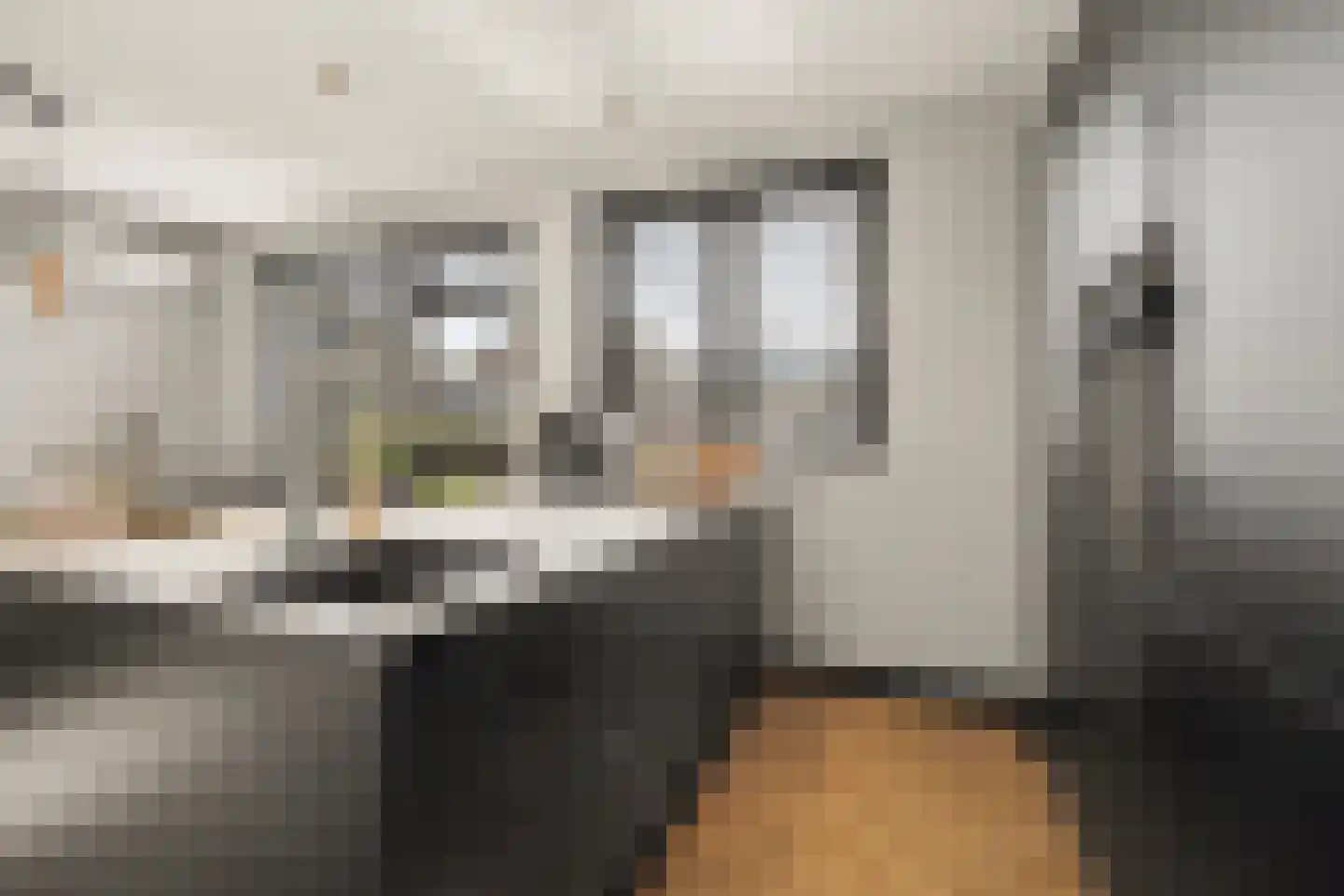 Dr. A. Zijlmansstraat 10 Bladel thumbnail 17
