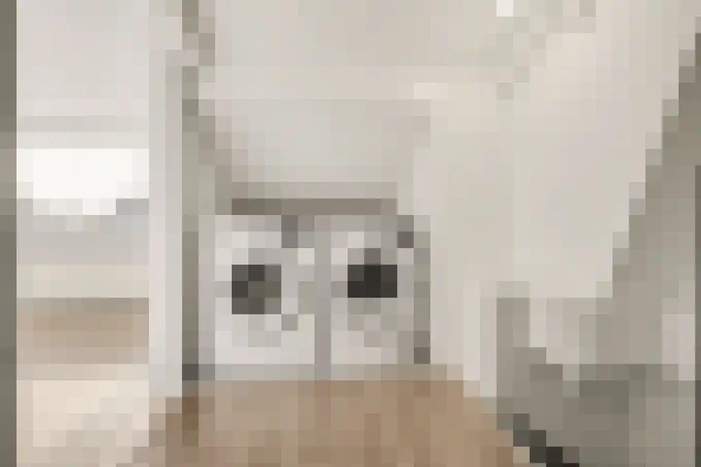 Dr. A. Zijlmansstraat 10 Bladel thumbnail 33