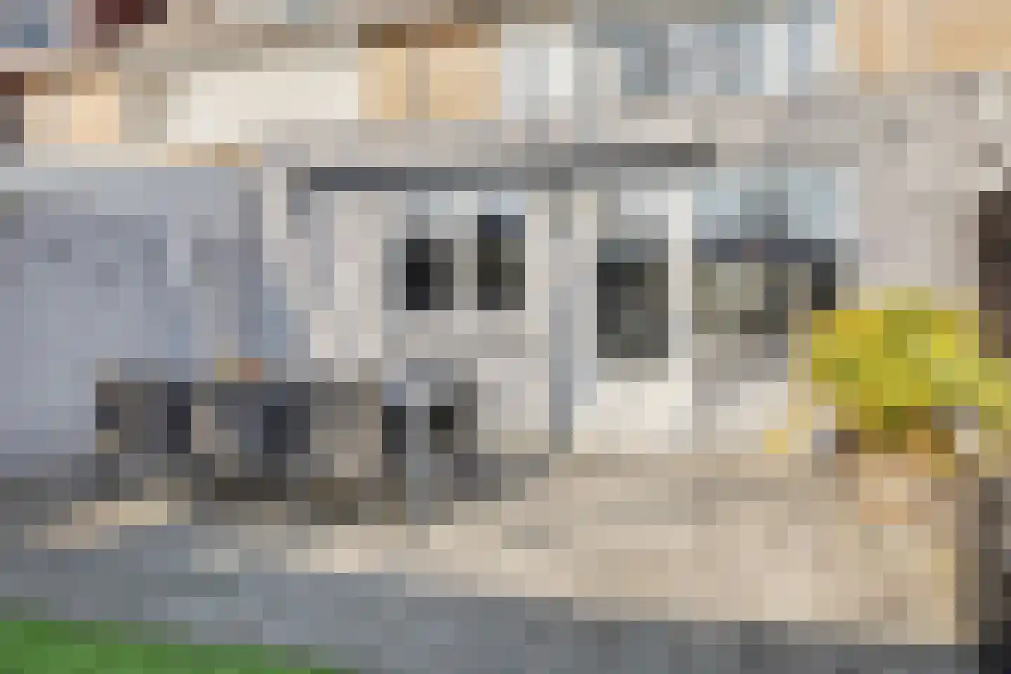 Dr. A. Zijlmansstraat 10 Bladel thumbnail 40