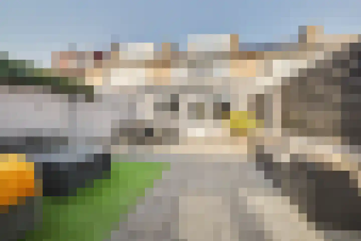 Dr. A. Zijlmansstraat 10 Bladel thumbnail 41