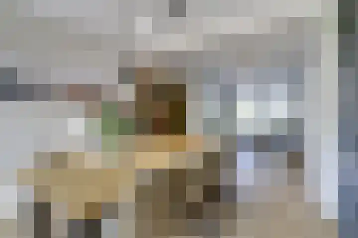 Dr. A. Zijlmansstraat 12 Bladel thumbnail 16