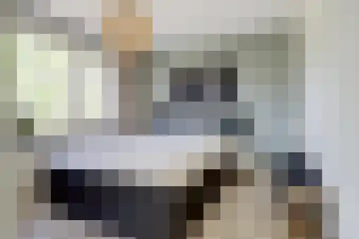 Dr. A. Zijlmansstraat 12 Bladel thumbnail 27