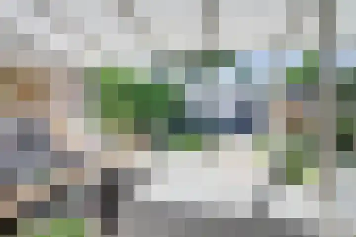 Dr. A. Zijlmansstraat 12 Bladel thumbnail 42