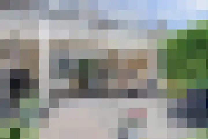 Dr. A. Zijlmansstraat 12 Bladel thumbnail 45