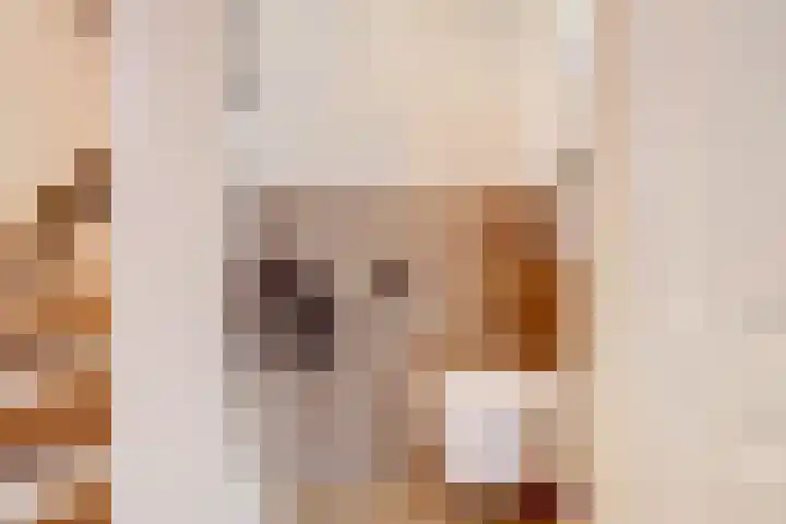 Dr. A. Zijlmansstraat 12 Bladel thumbnail 5