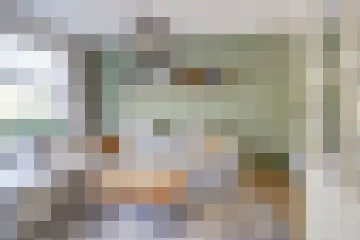 Dr. A. Zijlmansstraat 12 Bladel thumbnail 6