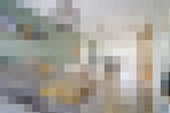 Dr. A. Zijlmansstraat 12 Bladel thumbnail 7